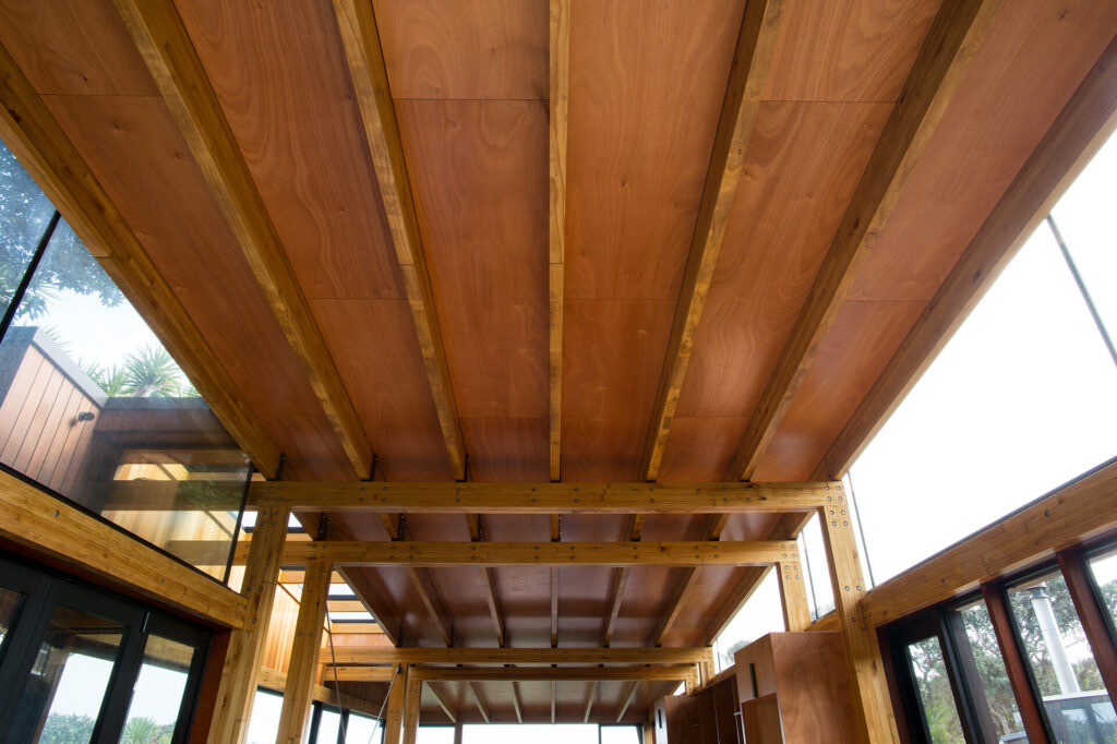 Interior ceiling plywood